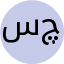 سرکارخانم مهندس رکسانه شیل چی