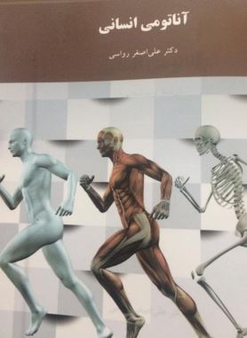 آناتومی انسان